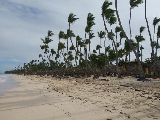 Punta Cana Beach January 2021